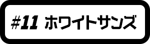 #11 ホワイトサンズ